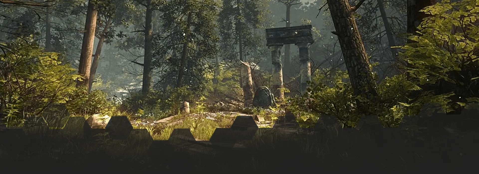 The Forest Hex
