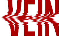 VEIN Server Hosting